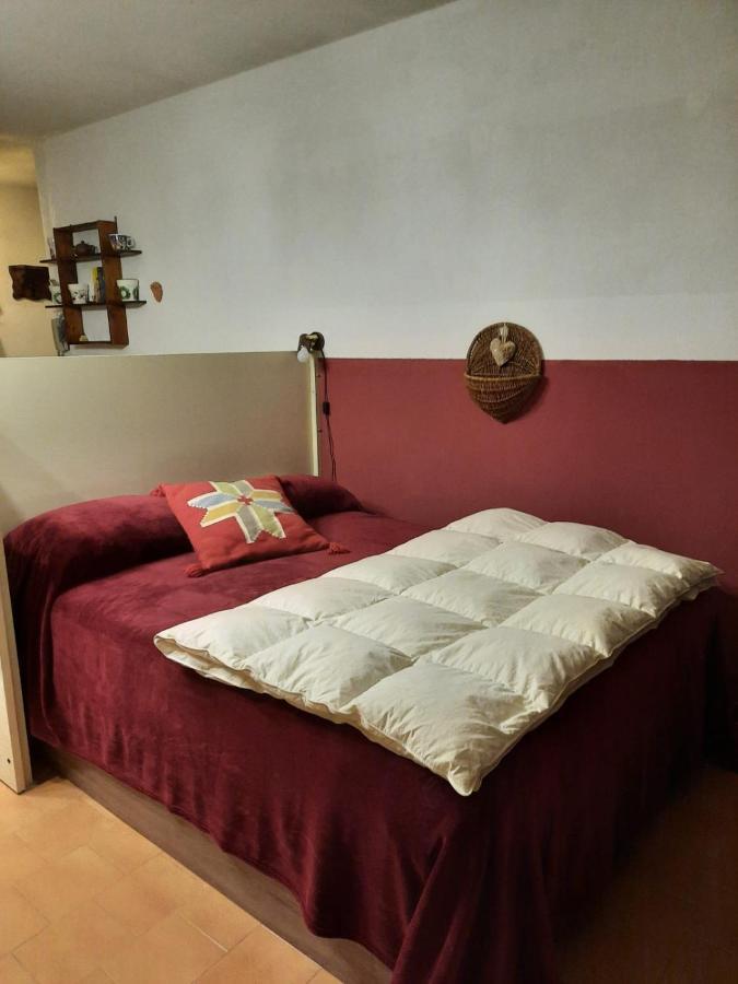 Appartamento Con Vista Montagna Bersezio阿尔真泰拉 外观 照片